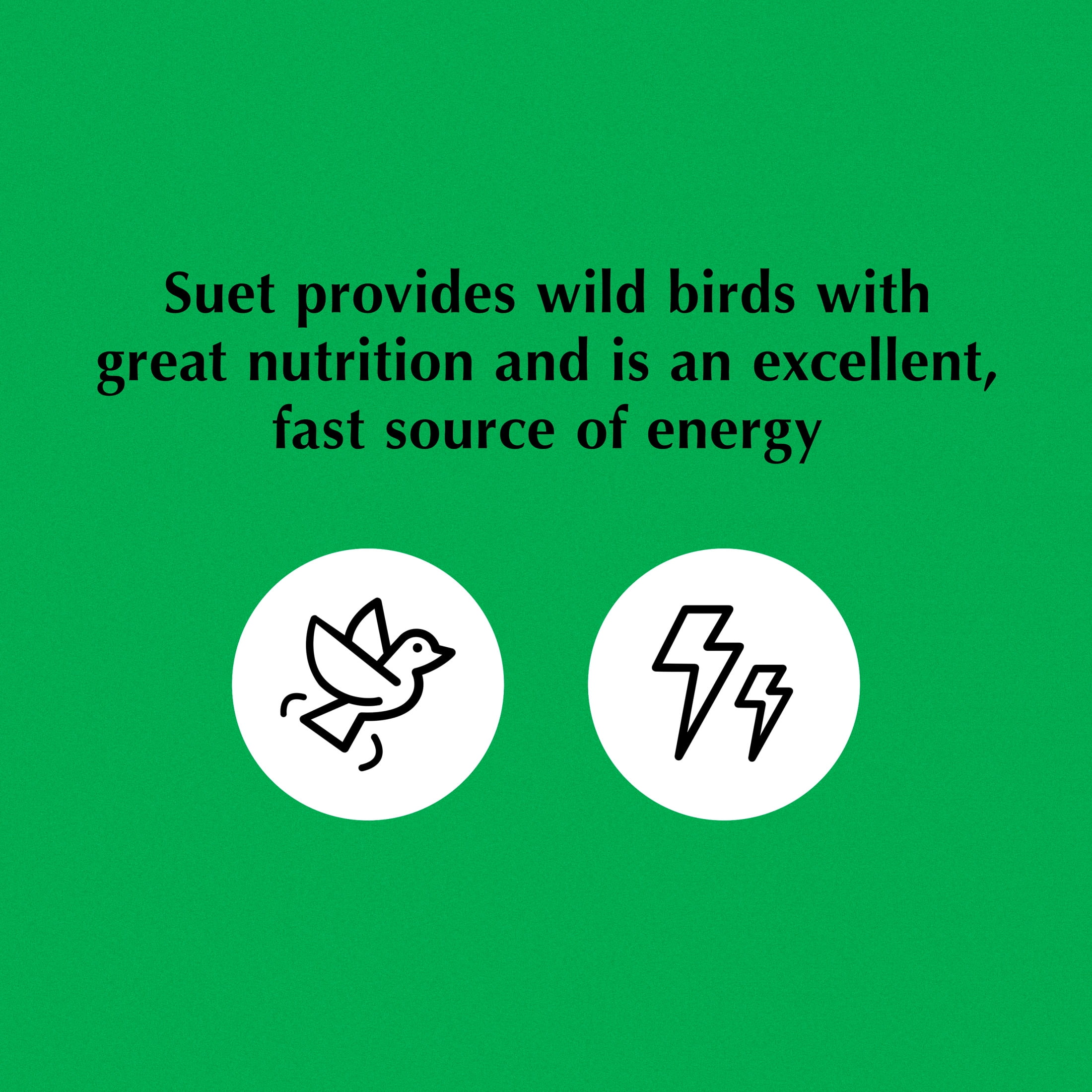 (2 pack) C&S Peanut Delight No Melt Suet Dough Log, Suet Dough for Wild Birds, 1 Pound, Pack of 8