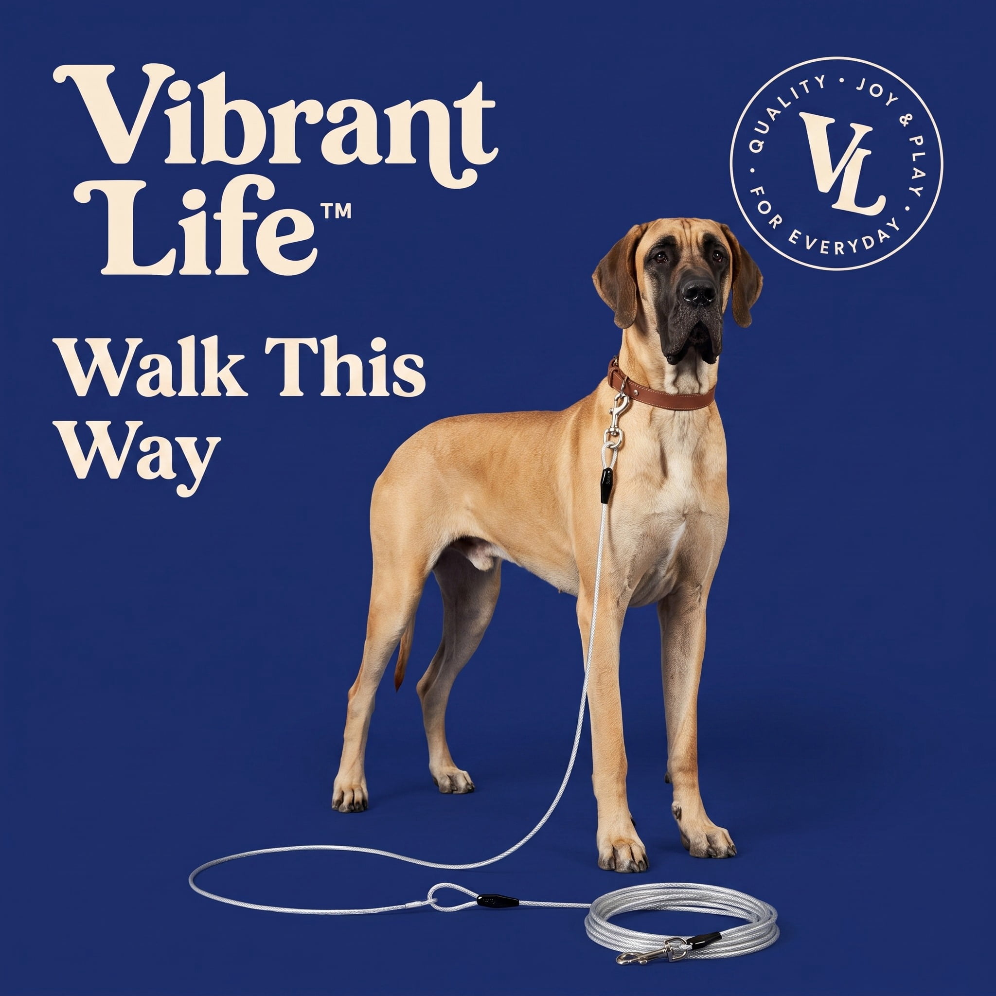 (6 pack) Vibrant Life Reflective Vinyl-Covered Tie-Out for Dogs, Super, 40'
