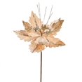 thumbnail image 1 of Vickerman QG191038 12 in. Champagne Poinsettia Spray - 6 per Bag, 1 of 2