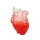 thumbnail image 5 of Florero en forma de Corazón BLESIY Maceta Esculturas de Corazón Rojo, 5 of 8