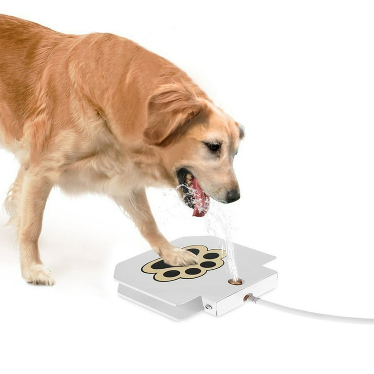 Water hose dog bowl cheap