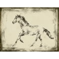 thumbnail image 3 of Harper, Ethan 18x15 Black Modern Framed Museum Art Print Titled - Equine Study II, 3 of 5