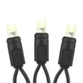 thumbnail image 4 of Novelty Lights 50 Light Warm White LED Christmas Mini Light Set (Black Wire, 11 Feet), 4 of 8