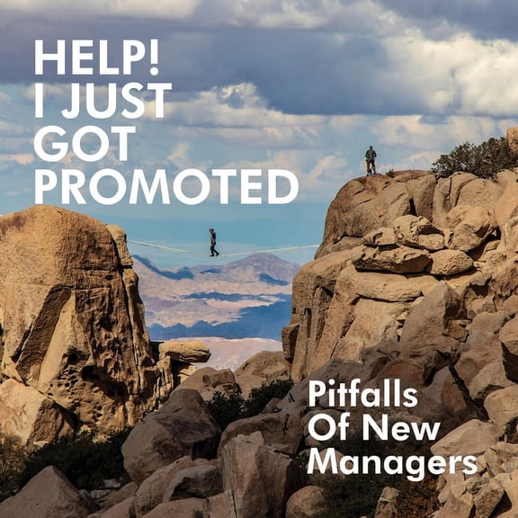 Help! I Just Got Promoted: Pitfalls of New Managers:: Pitfalls of New Managers (Paperback)