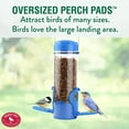 thumbnail image 6 of Woodstream Perky-Pet Dried Mealworm Bird Feeder 388F - Removable Tray, Hanging - Single Piece, 6 of 6