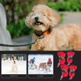 thumbnail image 4 of Outdoor Waterproof Dog Shoes 4Pcs Protectors For Pet Paws With Anti-slip, 4 of 4