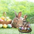 thumbnail image 3 of Goattoy Acrylic Easter Bunny Eggs Yard Decor - Cute Rabbit with Easter Egg, Outdoor Spring Garden Decorations for Lawn or Home, Ground Inserted,Walmart Sales Clearance!, 3 of 6