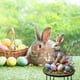 thumbnail image 3 of Huevos y conejitos de Pascua de colores insertados en el suelo. Tapón de tierra acrílico., 3 of 5