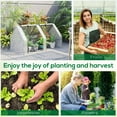 thumbnail image 6 of PetFurnishn 6' x 3' x 3' Portable Mini Greenhouse Outdoor Garden with Large Zipper Doors and Water/UV PE Cover, White, 6 of 18
