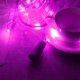 thumbnail image 2 of Luces De Cadena Lámpara de botella de vino LED Luces de cadena en forma de corcho para Navidad (púrpura) Lamparas, 2 of 3