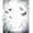Gray, Pattern 3, variant on ODIKA 4'x6' Machine Washable Non-Slip Area Rug, Entomology With Scientific Beetle Drawings High Traffic Rug, Black, 279552