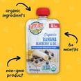 thumbnail image 3 of (12 pack) Earth's Best Organic Stage 2 Baby Food, Banana Blueberry Oat Fruit & Grain Puree, 3.5 oz Pouch, 3 of 5