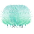 thumbnail image 1 of kjfeif 50pcs Colorful Plumage Feathers for Wedding Centerpieces - DIY Floating Plume Decorations for Hair, Clothing, Crafts & Party Arrangements, 1 of 3