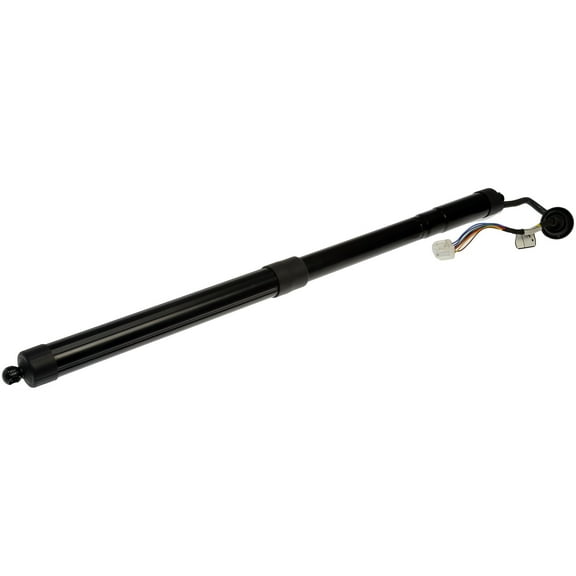 Dorman 747-055 Liftgate Cylinder for Specific Nissan Models, Black
