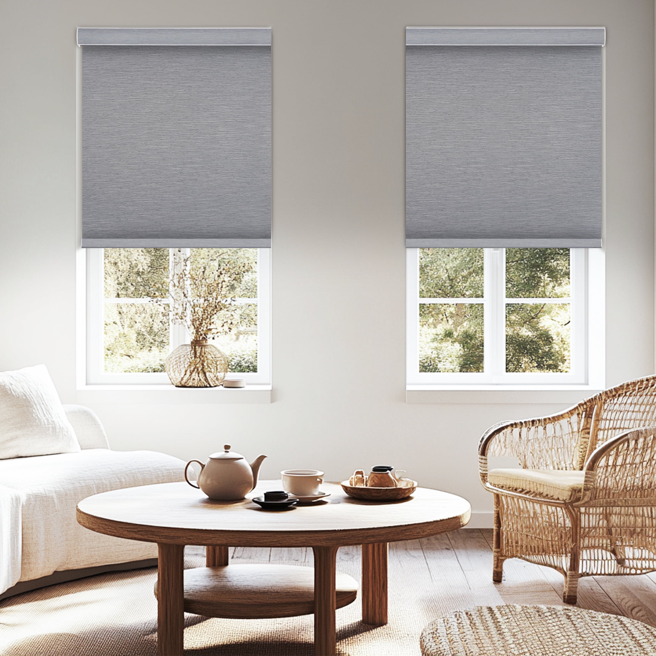 Blackout Roller Shades for Windows,Cordless,Roller Blinds for Windows,Thermal Insulated Fabric Window Blinds for Home,Office,Bedroom,Door, Grey, 25"W x 72"H