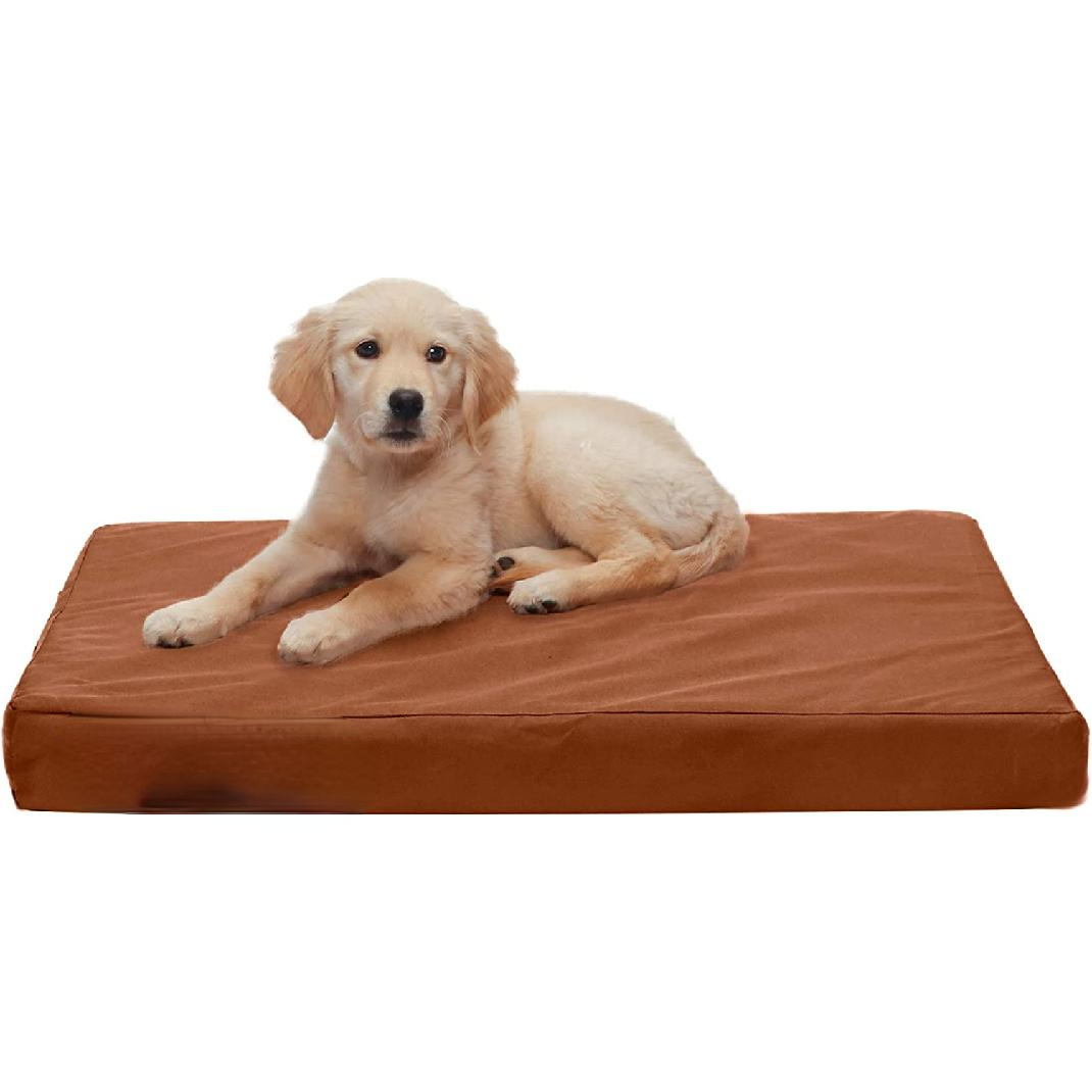 What Size Bed Is Best For A Labrador