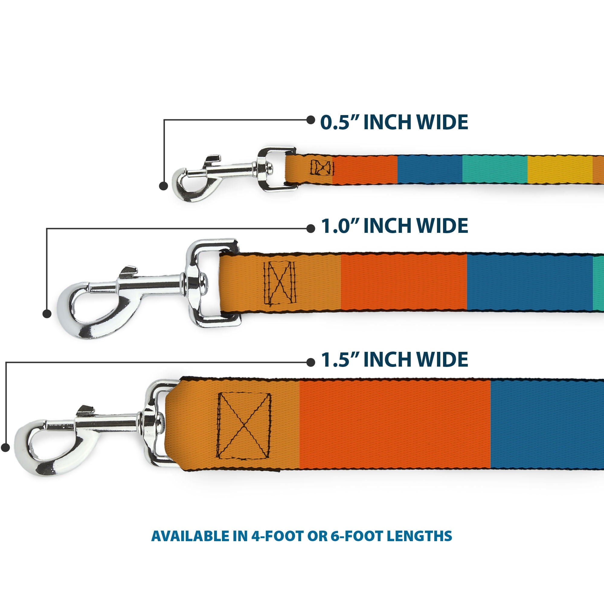 Buckle-Down Pet Leash, Dog Leash, Summer Essentials Color Block 2, 6 Feet Long 1.0 Inch Wide
