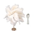 thumbnail image 2 of Ostrich Feather Night Light, Rechargeable Modern LED Decorative  Light with Feathers Dimmable Bedside Table Lamp Touch Switch Ostrich Feather Lamp for Bedroom Nightstand, 2 of 8