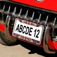 thumbnail image 5 of License Plate Frame Mexican Floral License Plate Frames Cover Holders 2 Pcs Set Vintage Watercolor Artwork Quality Aluminum Metal License Plate Cover for Women Men US Vehicles Standard, 5 of 6