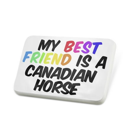 Porcelein Pin My best Friend a Canadian Horse Lapel Badge –