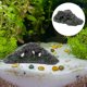 thumbnail image 1 of UPGRATOR Accesorio Para Acuario Tortuguero Plataforma Para Ejercicio, 1 of 6
