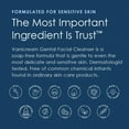 thumbnail image 4 of Limpiador facial Vanicream Gentle 240 ml (paquete de 2), 4 of 5