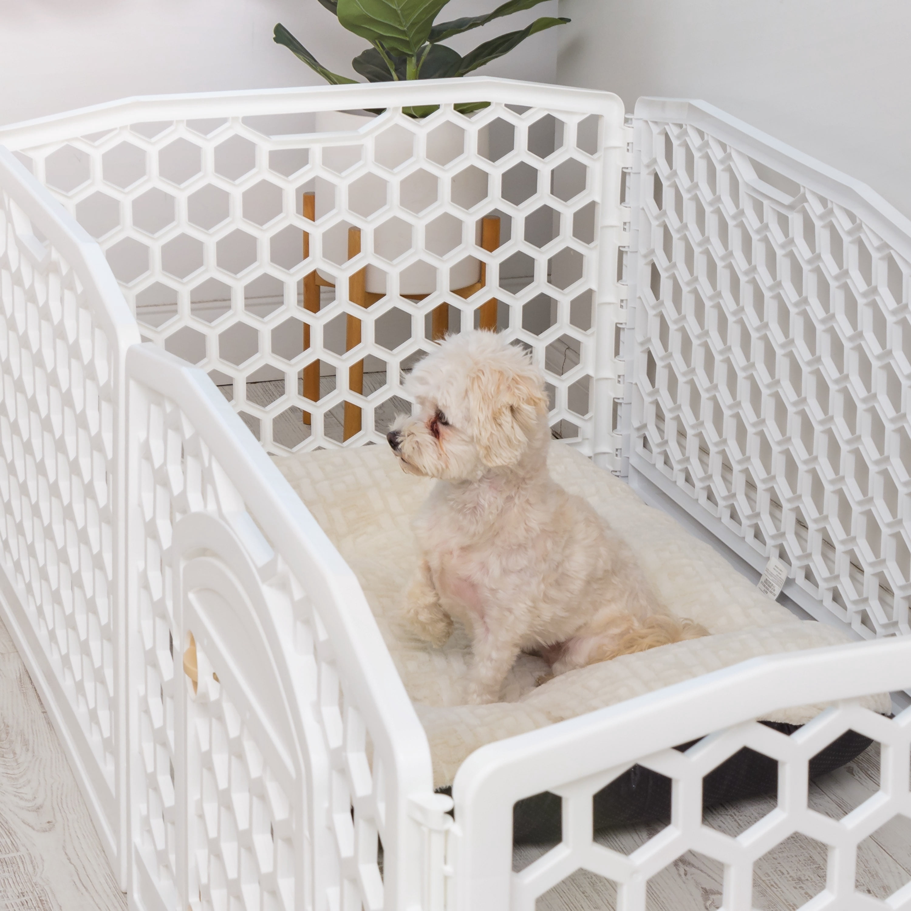 IRIS, Dog Exercise Playpen, White, 24-in, 6-Panel