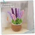 thumbnail image 5 of Crochet Kit For Beginners,crochet Kits For And Adults,crochet Materials Pack, 5 of 5
