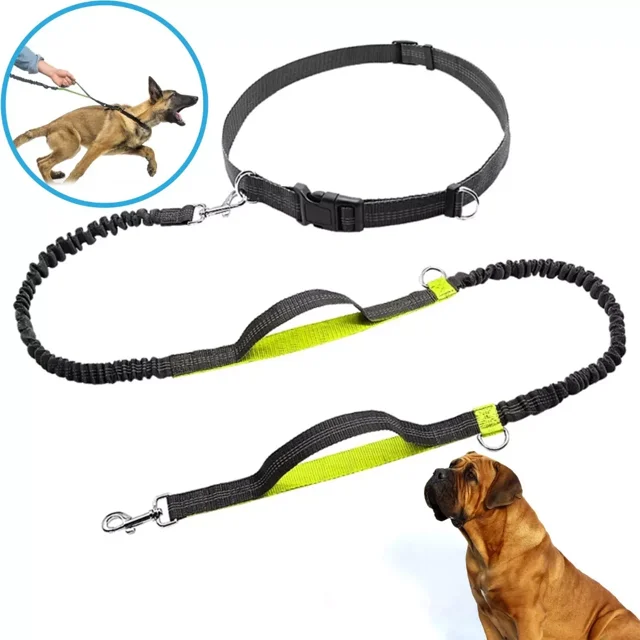 Correas Perros Elástica Manos Libres Nylon P/ Entrenamiento
