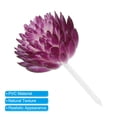 thumbnail image 4 of Uxcell Mini Artificial Succulents Unpotted Faux Succulent Picks Fake Succulent Plants Purple 2 Pack, 4 of 5