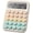 Creamy Citrus, variant on RoveNova- Mechanical Switch Calculator, 12 Digit Large LCD Display, Pink | With Big Buttons, Mechanical Switch Calculator for Home, School, Office