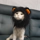 thumbnail image 4 of Divertidos disfraces para mascotas, gatos y perros transformados en divertidos disfraces navideños, sombreros y tocados salvajes, 4 of 7