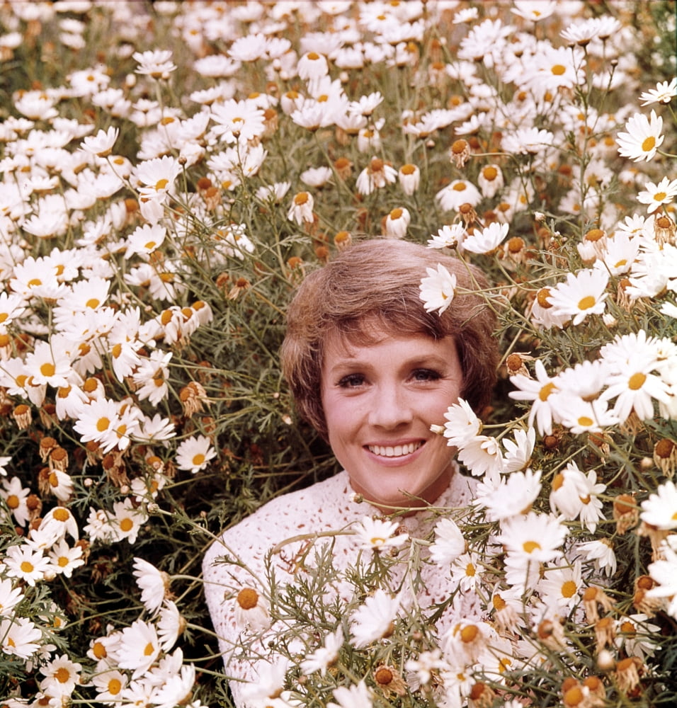 Julie Andrews Hour Julie Andrews 19721973 Photo Print (8 x 10