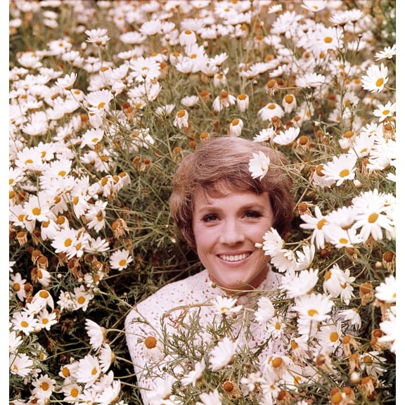 Julie Andrews Hour Julie Andrews 1972-1973 Photo Print (8 x 10)