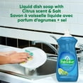 thumbnail image 3 of Savon à vaisselle liquide Palmolive Essential Clean, parfum d’agrumes + sel - 828 ml, 3 of 10