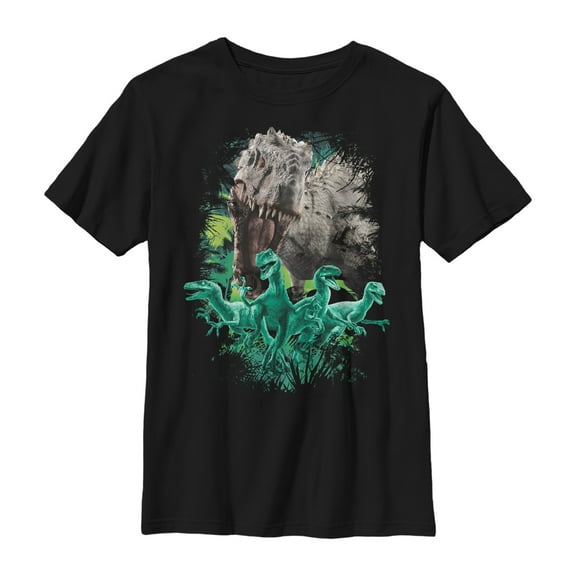 Boy's Jurassic World Coming For You Dino  Graphic Tee Black Small
