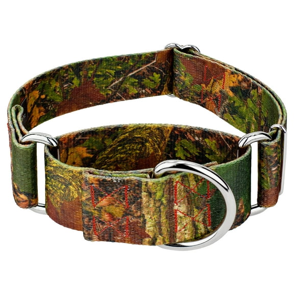 Country Brook Petz® 1 1/2 inch Southern Forest Camo Martingale Dog Collar, Medium