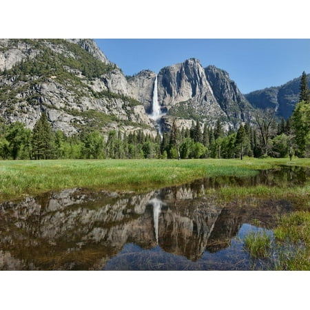 Reflection of Yosemite Falls in Merced River, Yosemite National Park, California, USA Print Wall