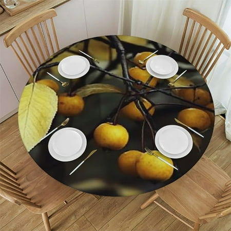 

Autua Round Tablecloth 100% Polyester Stain-Resistant Washable for Indoor Outdoor Restaurants Parties Kitchen Holiday Dinner Farmhouse Decor 31 -35