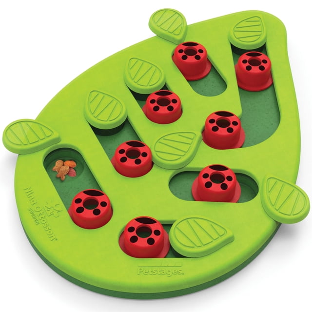 Catstages de Nina Ottosson Buggin' Out Puzzle & Play - Rompecabezas interactivo de golosinas para gatos