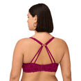thumbnail image 3 of BLAKE & CO. Women's All Over Lace Underwire Push Up Bra with Adjustable Straps, 2-Pack , Sizes 34B-40DD, 3 of 7