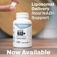 thumbnail image 2 of NutraBio- Liposomal NAD+ Supplement- Longevity and Cell Support- NAD+ Resveratrol with NMN & PQQ for Men and Women, Long-Term Vitality- 60 Capsules, 2 of 7