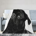 thumbnail image 3 of Ultra Soft Blanket Cute Black Pug Dog Throws Blanket Plush Fuzzy Lightweight Couch Sofa Bed Warm Cozy Flannel Blanket for Kids and Adults Gift 50"X40", 3 of 6