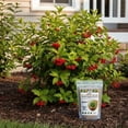 thumbnail image 3 of Old Cobblers Farm™ Wicked Growth Deciduous Shrubs Fertilizer – Enhances Seasonal Performance and Keeps Shrubs Healthy and Full (5 lbs | 10 lbs | 15 lbs | 20 lbs) (10lbs), 3 of 12