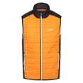 thumbnail image 1 of Regatta Mens Halton VII Padded Gilet, 1 of 6