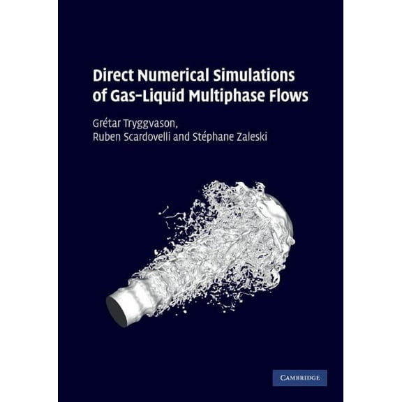 Direct Numerical Simulations of Gas-Liquid Multiphase Flows, (Hardcover)