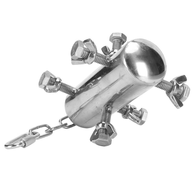 Foraging Toy, Hanging Improves Balance Multipurpose Stainless Steel Toy Puzzle Easy Installation For Conures For Love Birds For Cockatiels