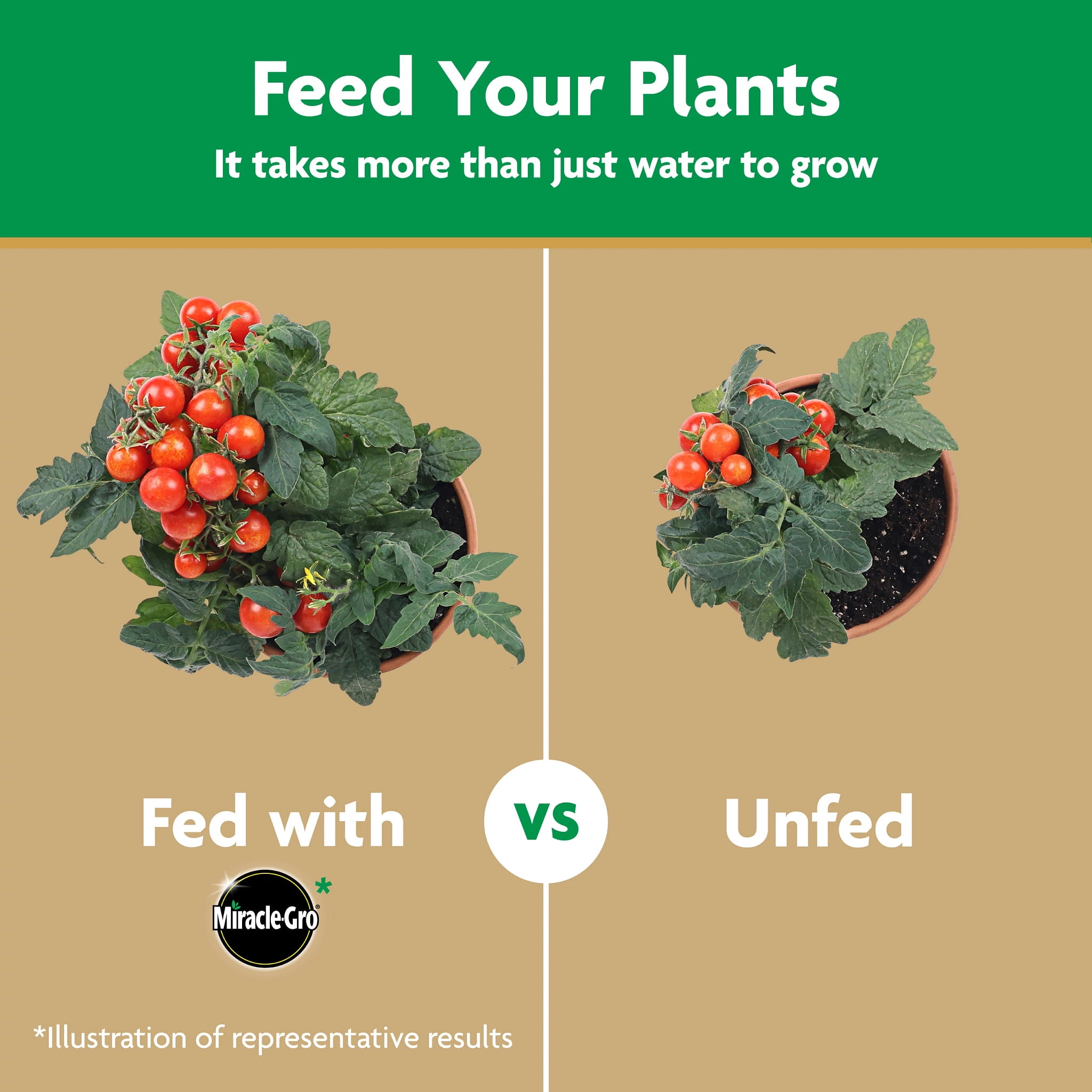 Miracle-Gro Water Soluble Tomato Plant Food, 3 lbs.