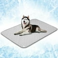 thumbnail image 1 of Tapis Rafraîchissant Imperméable pour Chien, Couverture Rafraîchissante Premium pour Animal de Compagnie pour Lit et Cage, Tapis Rafraîchissant Antidérapant d'Intérieur pour Chien pour Dormir, Grand Tapis de Canapé Q-MAX pour Chat, Gris Pâle, 60x80, 1 of 11