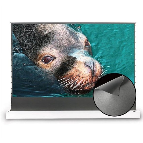 S Electric Tension Floor Screen With Obsidian Long Throw ALR (Ambient Light Rejecting Material)【Recommended For Normal/Standard/Long Throw Projector Use】